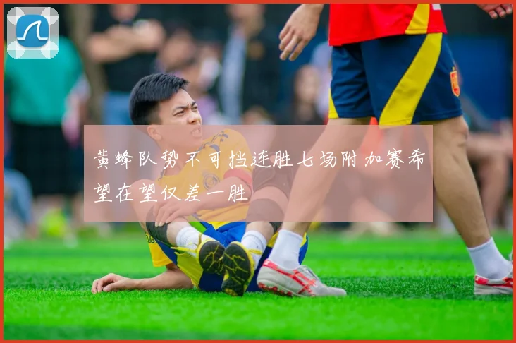 黄蜂队势不可挡连胜七场附加赛希望在望仅差一胜