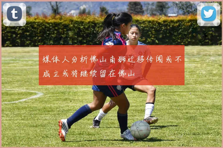 媒体人分析佛山南狮迁移传闻或不成立或将继续留在佛山